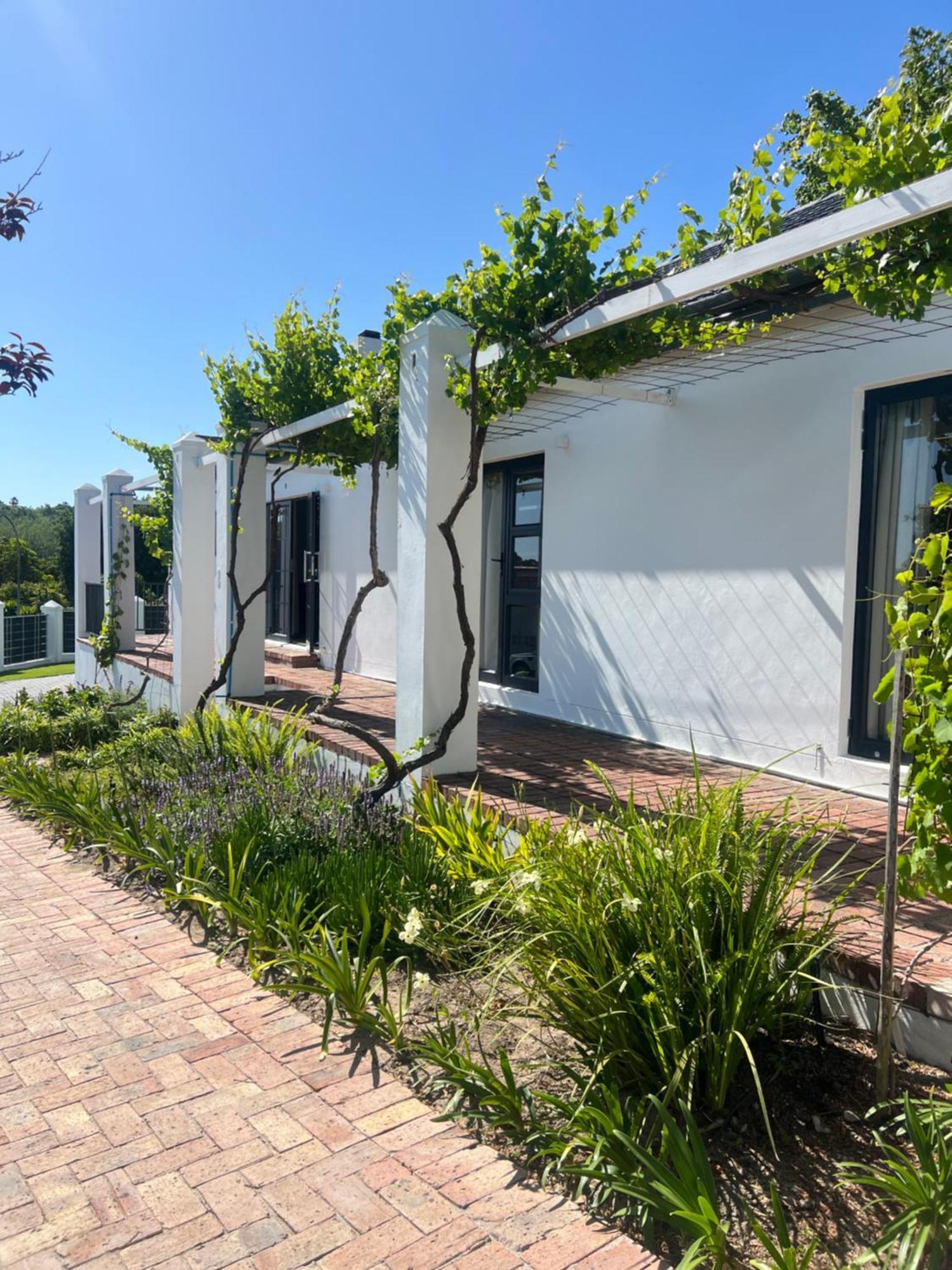 Chasselas Self Catering كيب تاون المظهر الخارجي الصورة